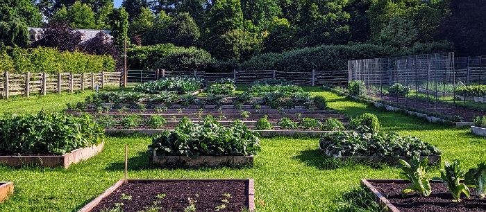 Garden00